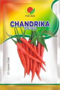 whatsapp image 2026 03 11 at 12.50.19 am (1)