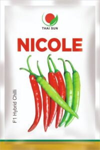 whatsapp image 2026 03 11 at 12.50.19 am (2)