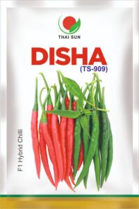 whatsapp image 2026 03 11 at 12.50.20 am (2)