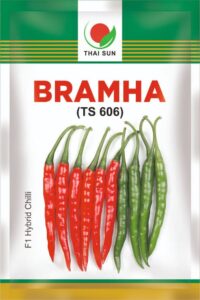 whatsapp image 2026 03 11 at 12.50.20 am